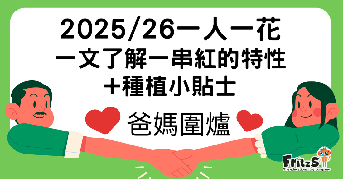 2025/26 「一人一花」一文了解一串紅的特性+種植小貼士