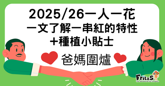 2025/26 「一人一花」一文了解一串紅的特性+種植小貼士