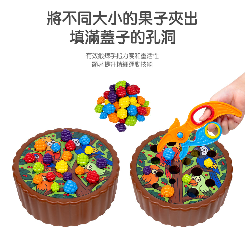 Birdies Feed Color Sorting Set  | 快樂鳥夾果樂