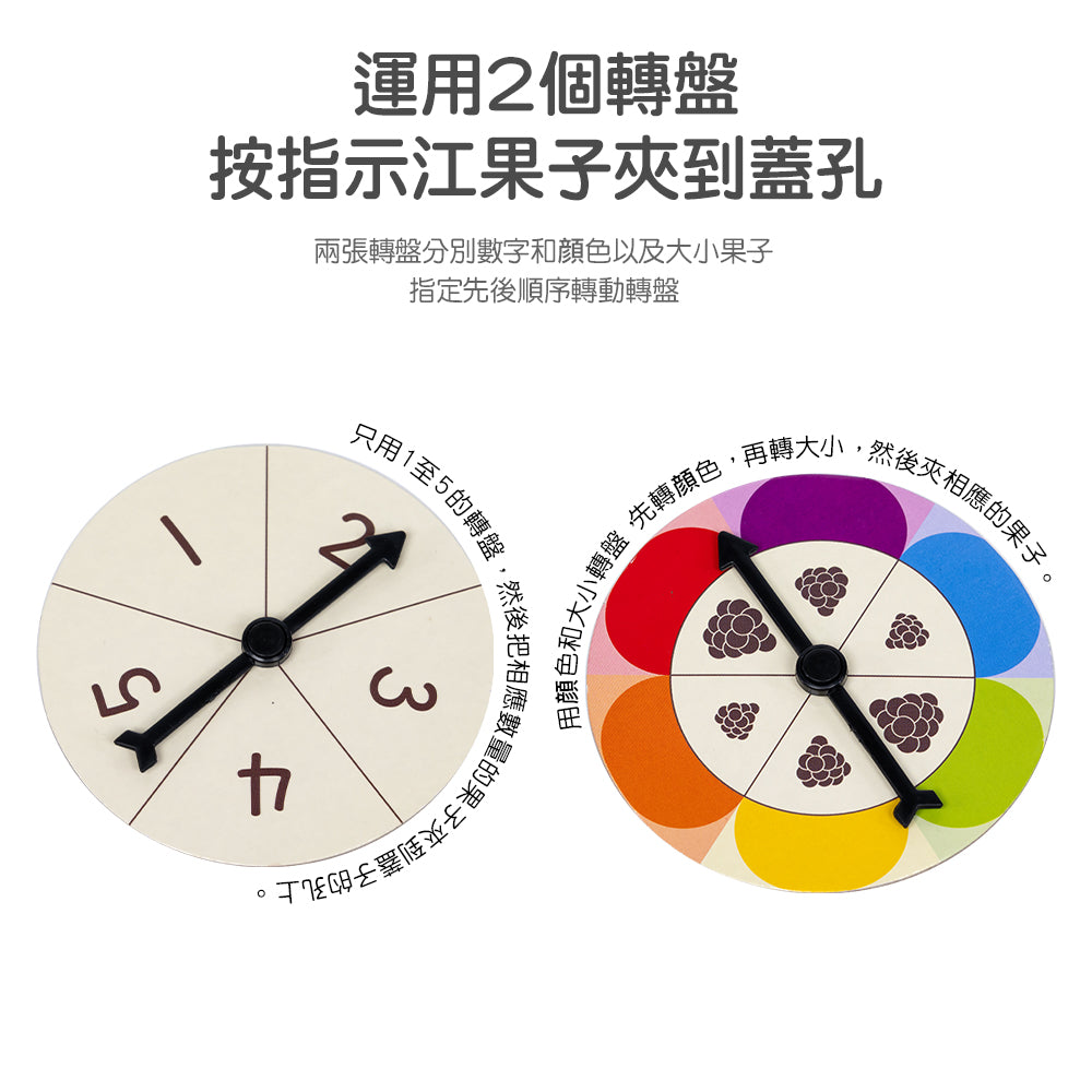 Birdies Feed Color Sorting Set  | 快樂鳥夾果樂