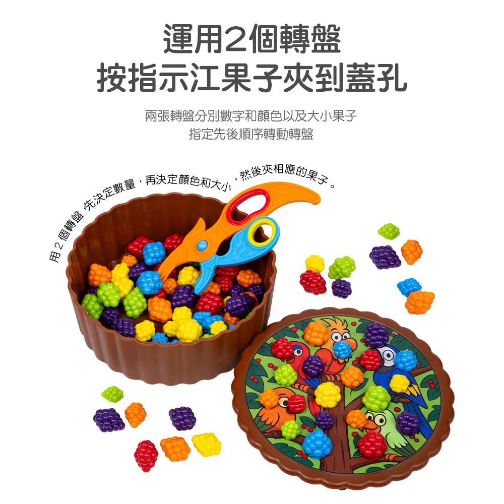 Birdies Feed Color Sorting Set  | 快樂鳥夾果樂