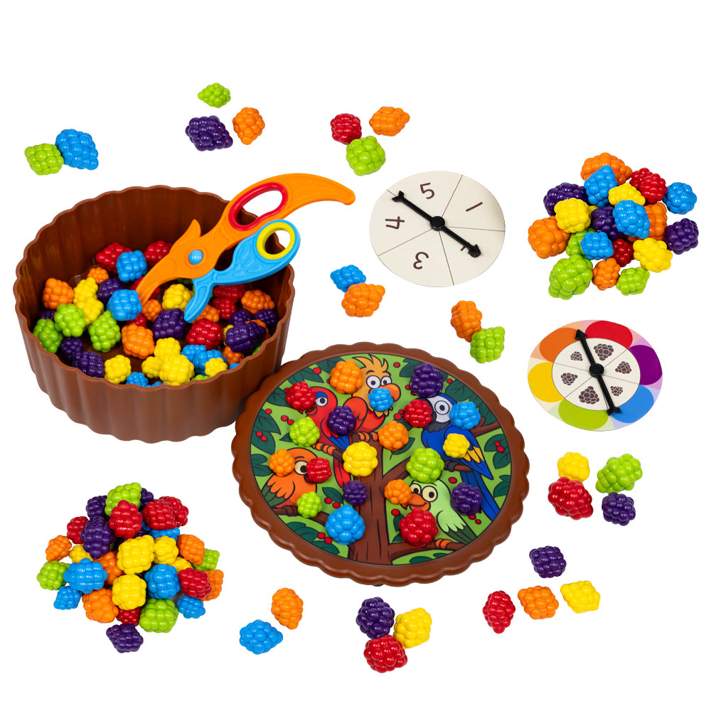 Birdies Feed Color Sorting Set  | 快樂鳥夾果樂
