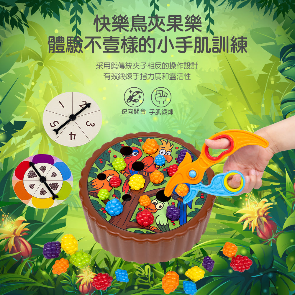 Birdies Feed Color Sorting Set  | 快樂鳥夾果樂