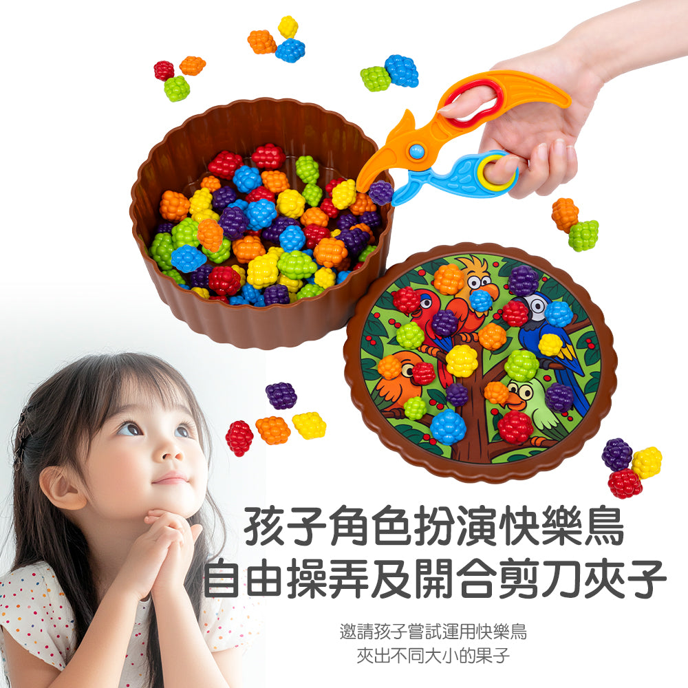 Birdies Feed Color Sorting Set  | 快樂鳥夾果樂
