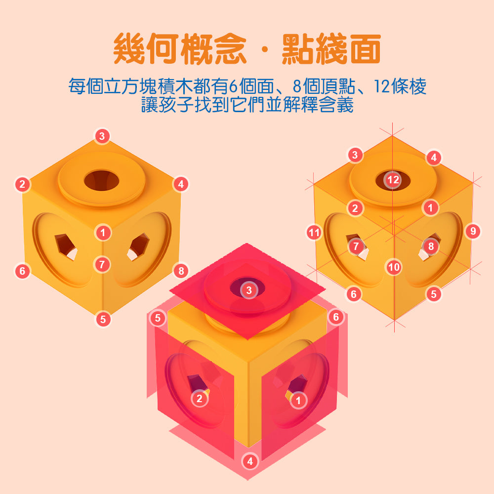 FritzS-LEC4311-  數學邏輯啟蒙積木 | 空間思維|