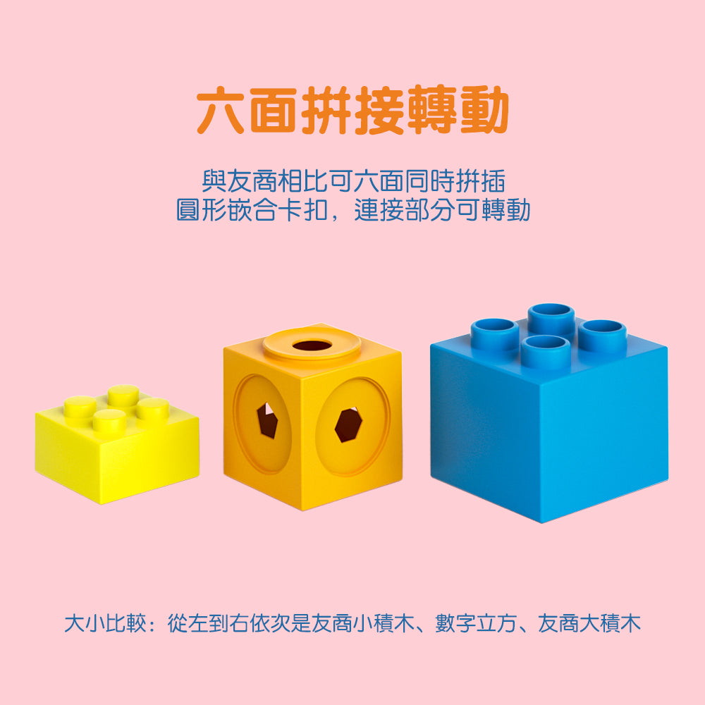 FritzS-LEC4311-  數學邏輯啟蒙積木 | 數學啟蒙|