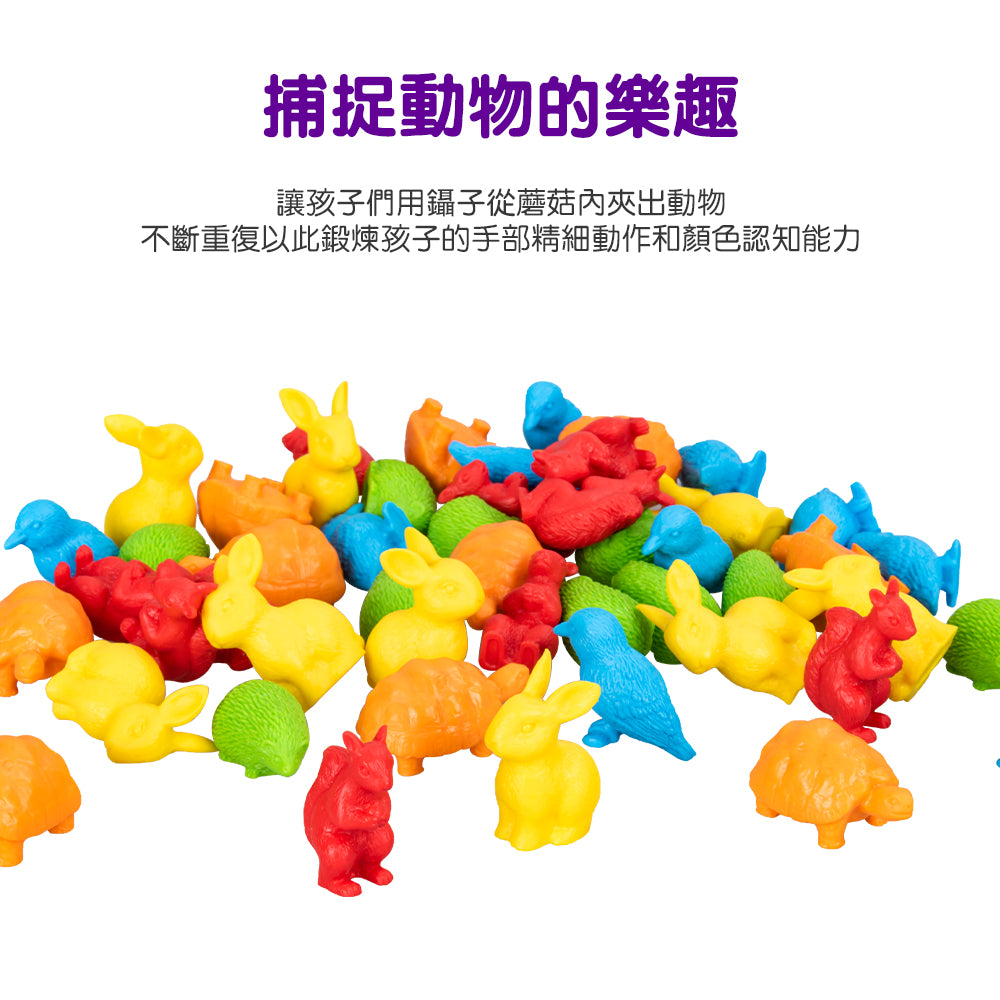Fritzs-LEC3419-蘑菇愛好者分選機|分類學習|